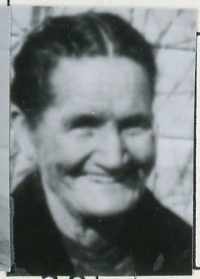 Henage A. Garrett (1851 - 1934) Profile
